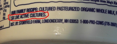 Make sure label says active cultures